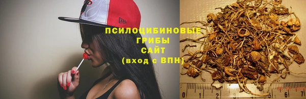трава Аркадак