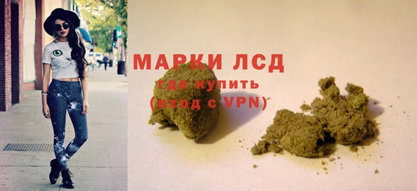 стаф Баксан