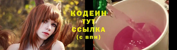 индика Балабаново