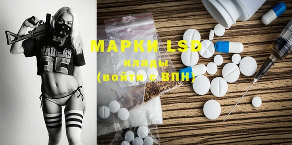 индика Балабаново