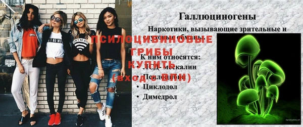 стаф Баксан
