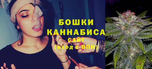 индика Балабаново