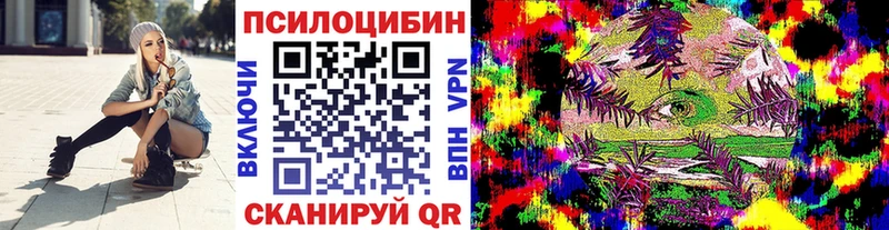 Галлюциногенные грибы Psilocybine cubensis  Уржум 